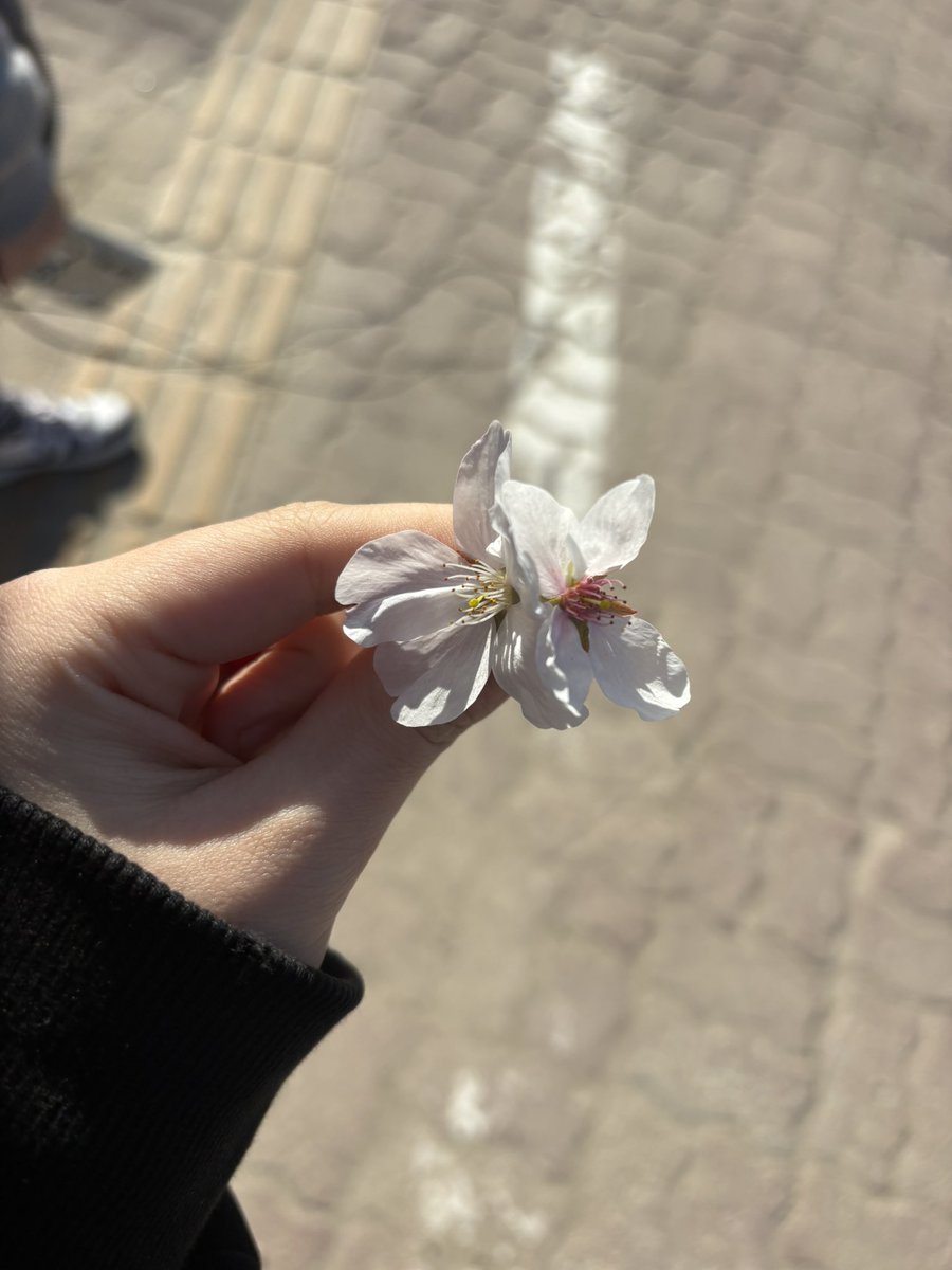 인간오류 tweet media