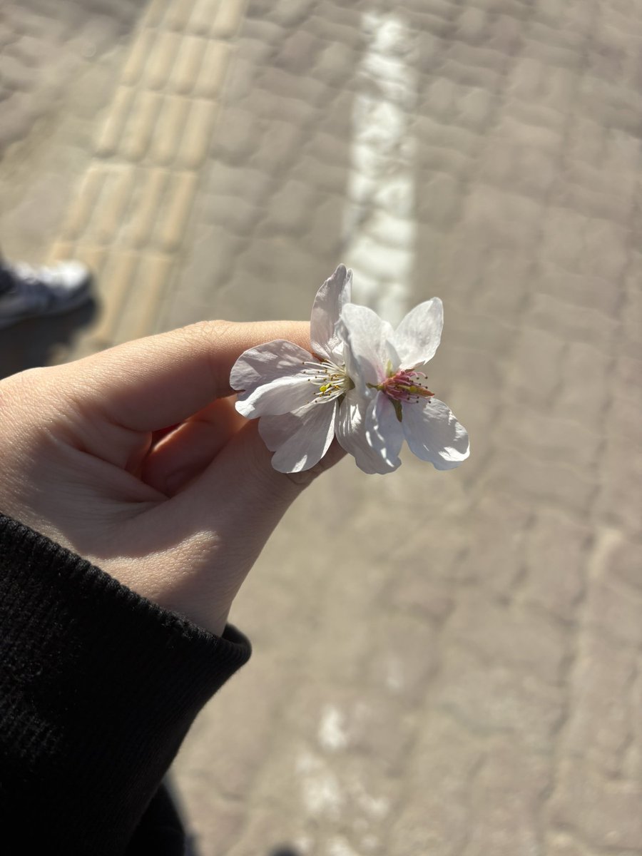 인간오류 tweet media