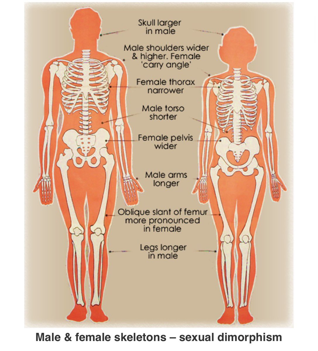 Nuri 🇵🇱 tweet media