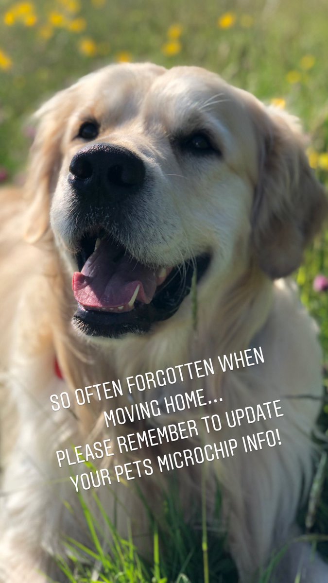 HelpForMovers's tweet image. Moving Reminder…

Often overlooked but so very important… 

Please remember to update the info held on your pets microchip!!

#movinghouse #pets #dogs #cats #movingtips