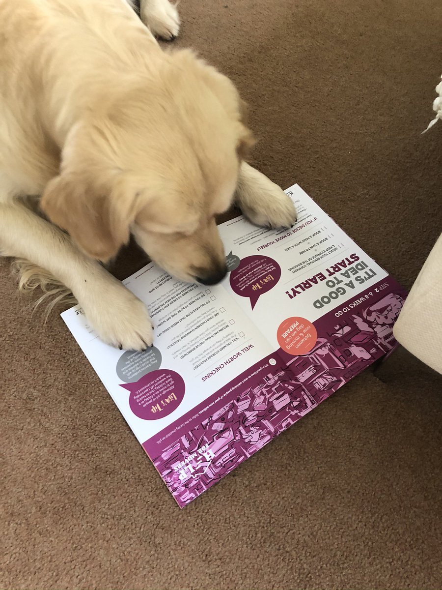 HelpForMovers's tweet image. Moving Reminder…

Often overlooked but so very important… 

Please remember to update the info held on your pets microchip!!

#movinghouse #pets #dogs #cats #movingtips