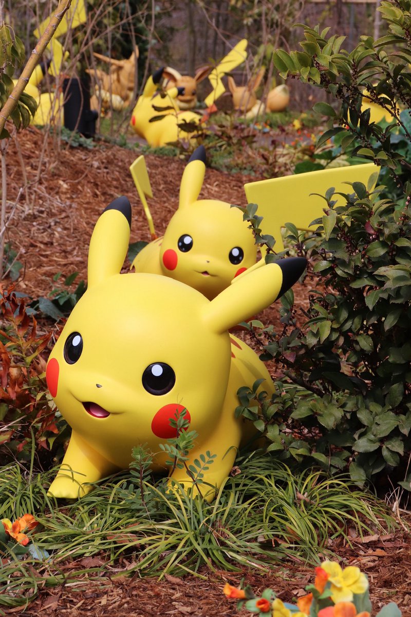 れもん🍋 tweet media