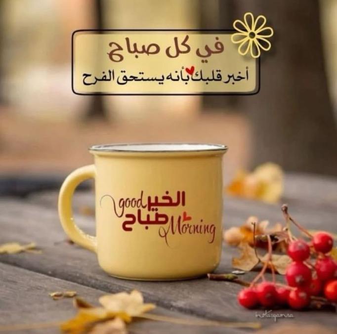 عاشقة العفية 💞💞 tweet media