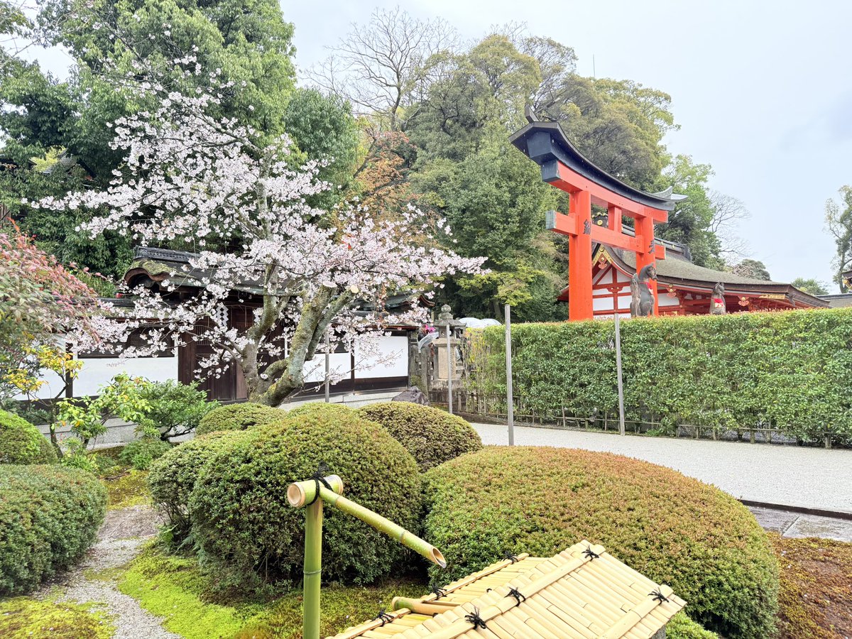 Rosalia Belmondo🌹(´ཫ`* ) tweet media