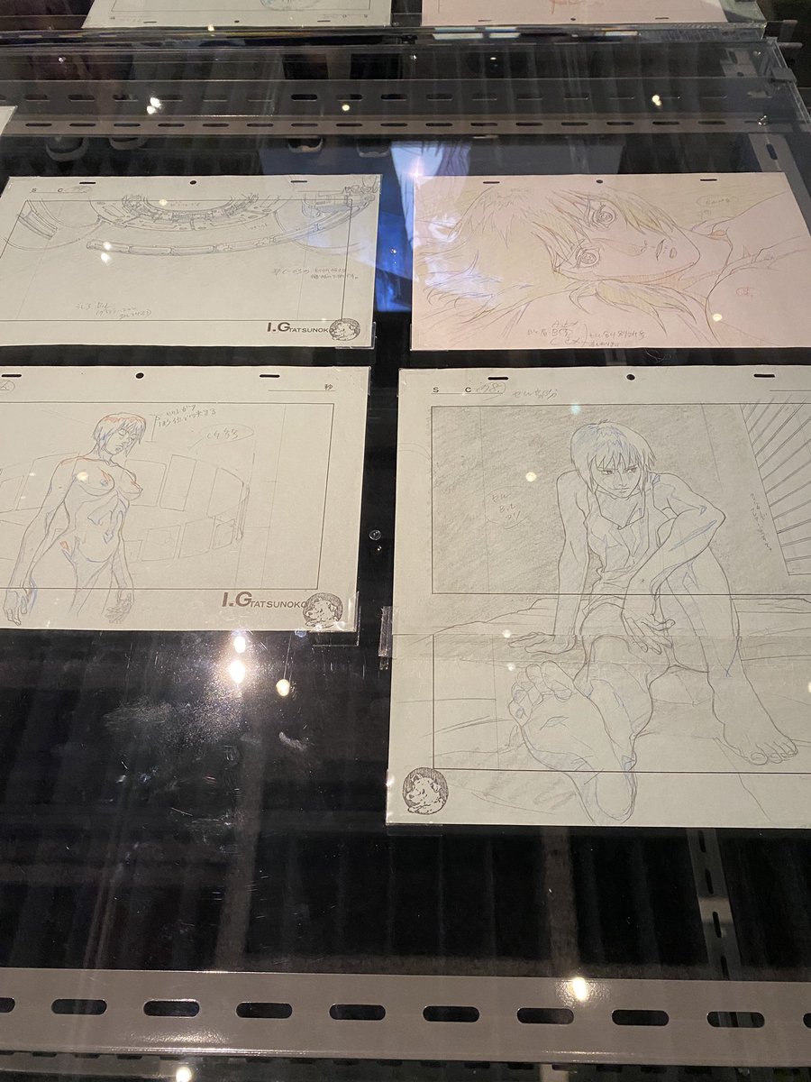 ぽよこ tweet media