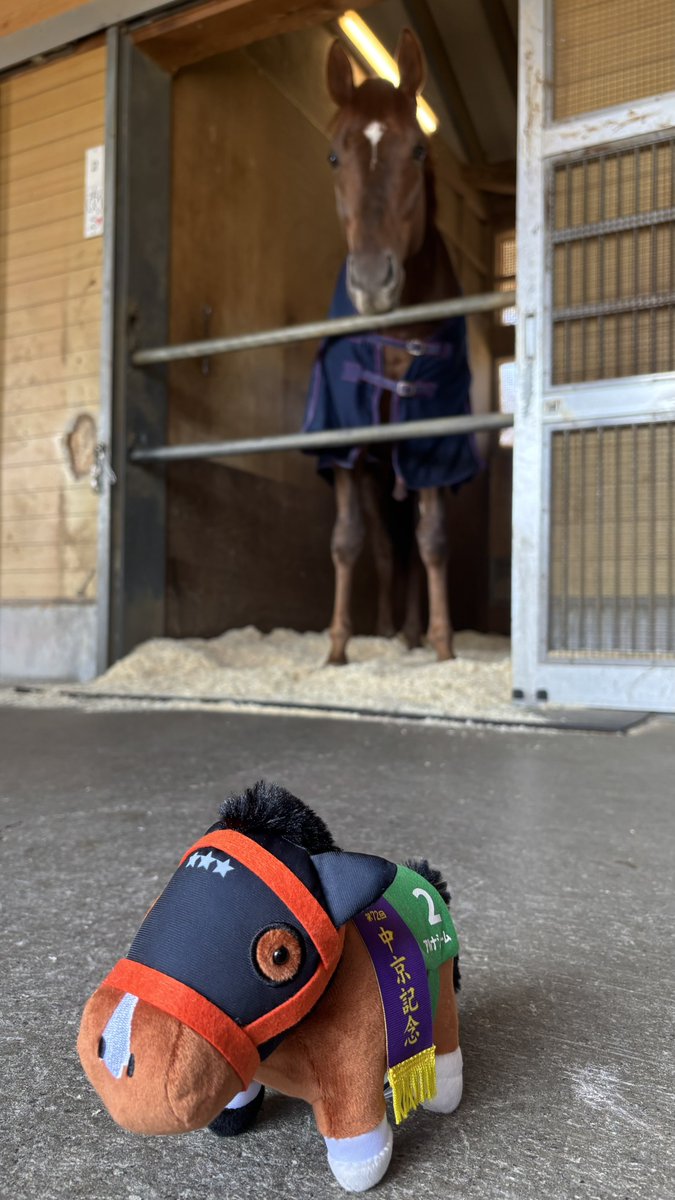 アルしゃん tweet media