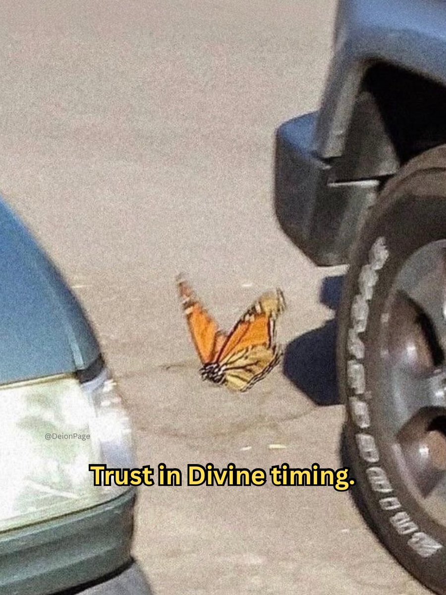 مُقدّسـهْ𓅊 tweet media