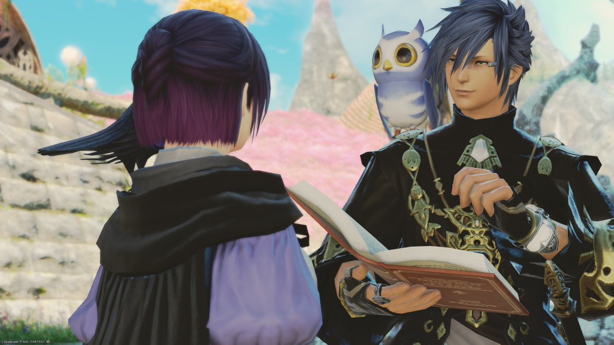 さんさん🐈⬛🐸👑 tweet media