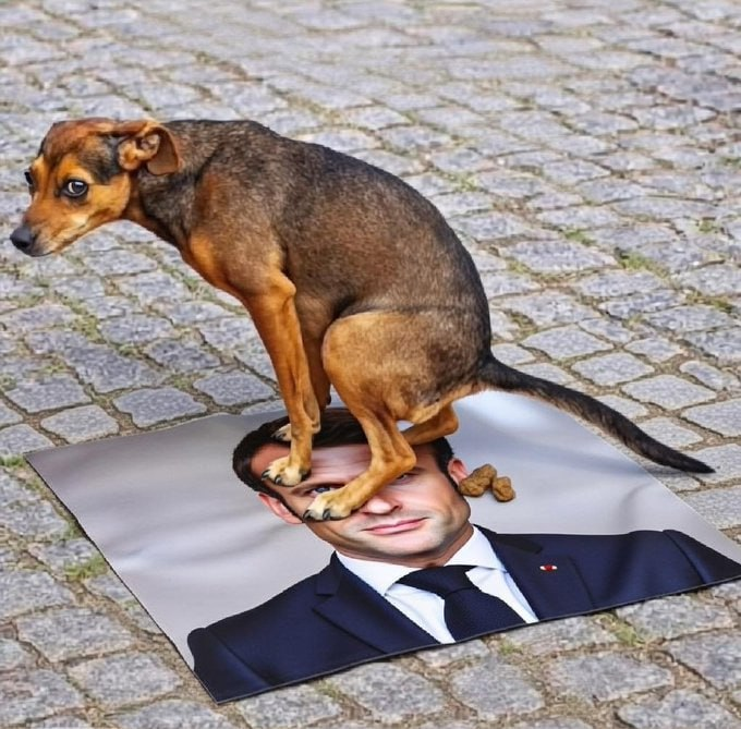 lgjm-communication.fr tweet media