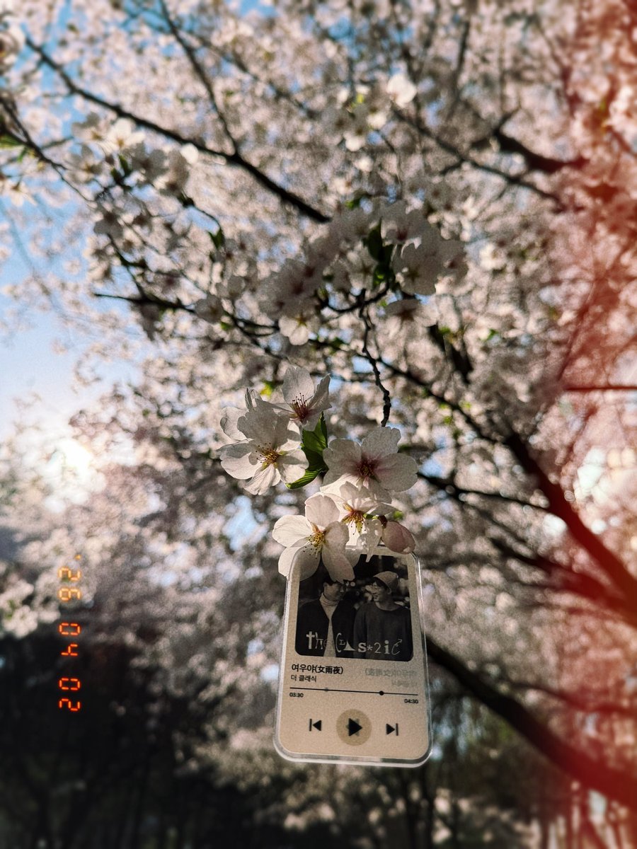 우연운명 tweet media