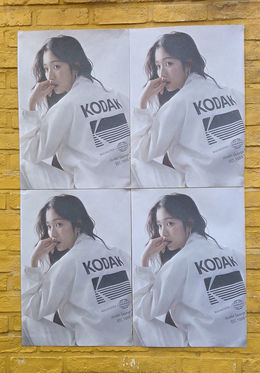 하쿠 🛳 tweet media