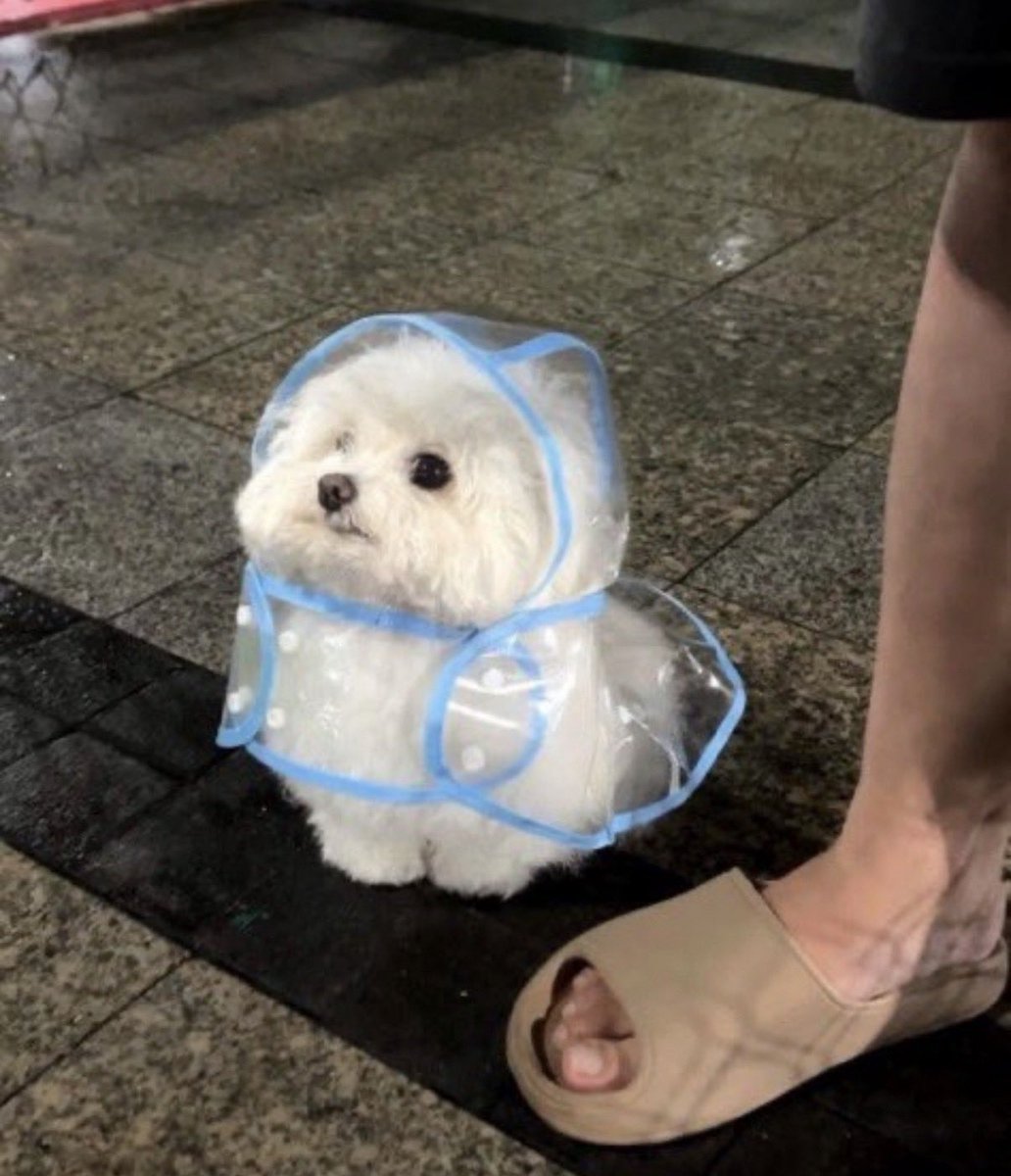 ガチャガチャサラリーマン｜最新ガチャ情報 tweet media