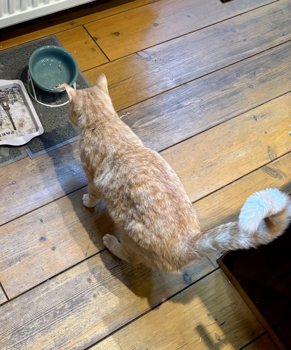 Tammar 🐦 tweet media