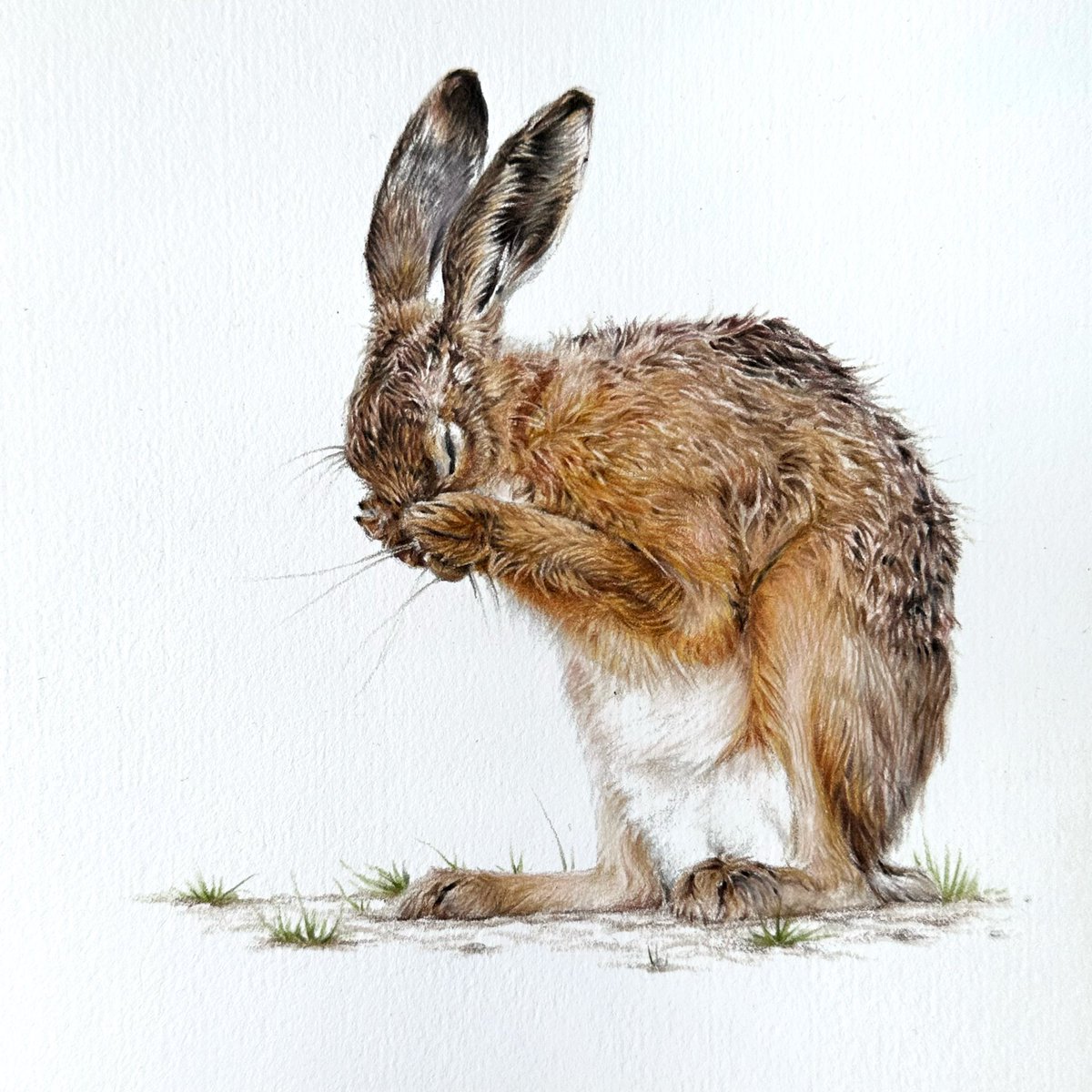 Anna Hamilton Art tweet media