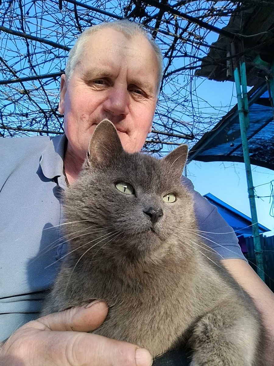 Кот Шурик из Беловежской пущи и его большая семья tweet media