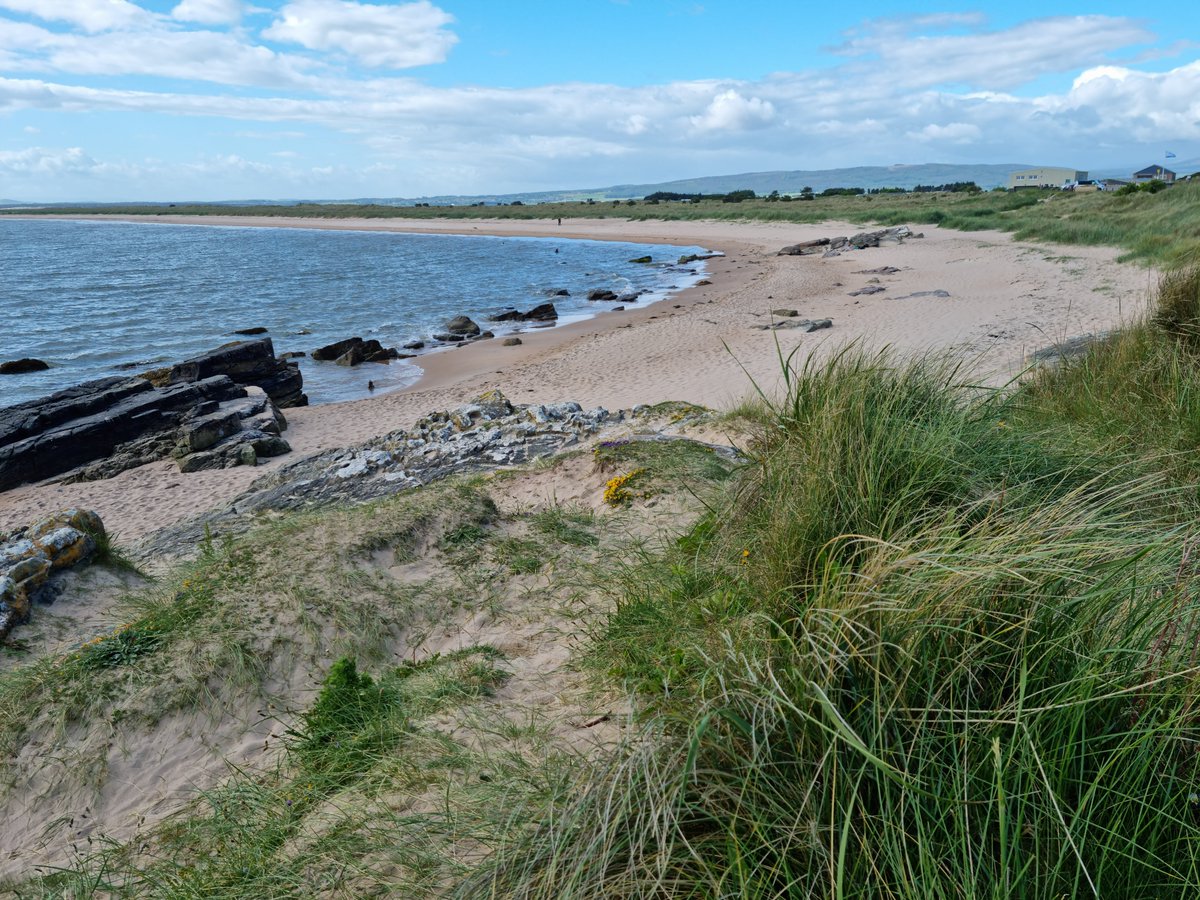 manonabeach tweet media