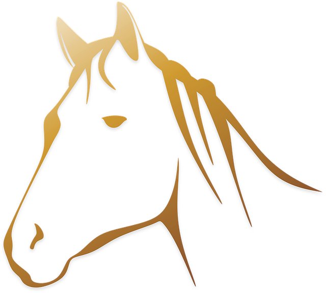 Jorge Valerio tweet media