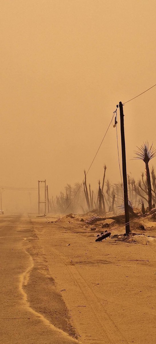 معتز الفاخري tweet media