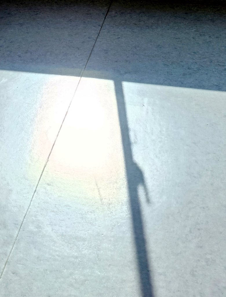 おもち tweet media