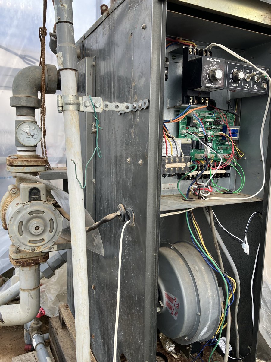 久保田農園のトマト垢 tweet media