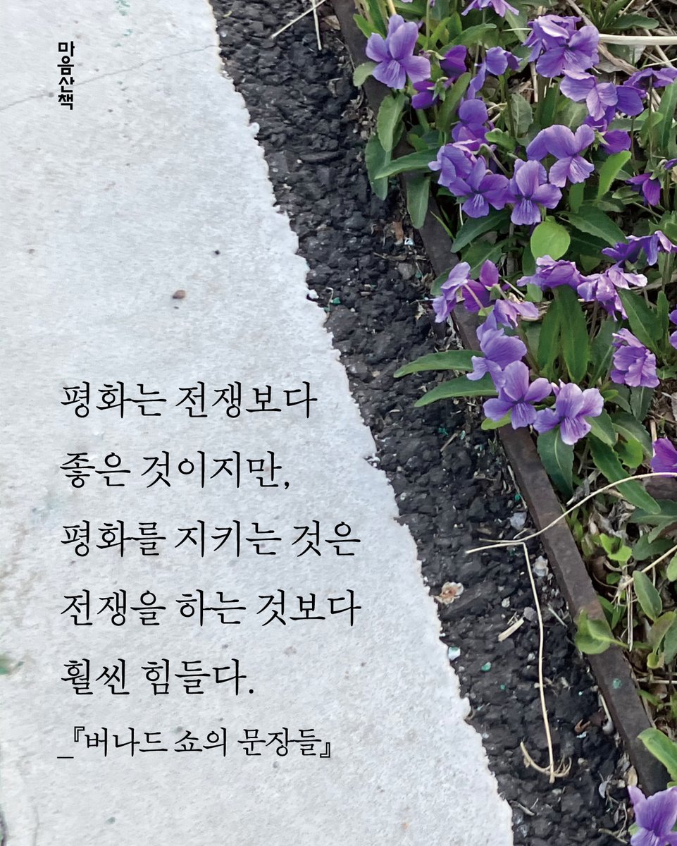 마음산책 tweet media