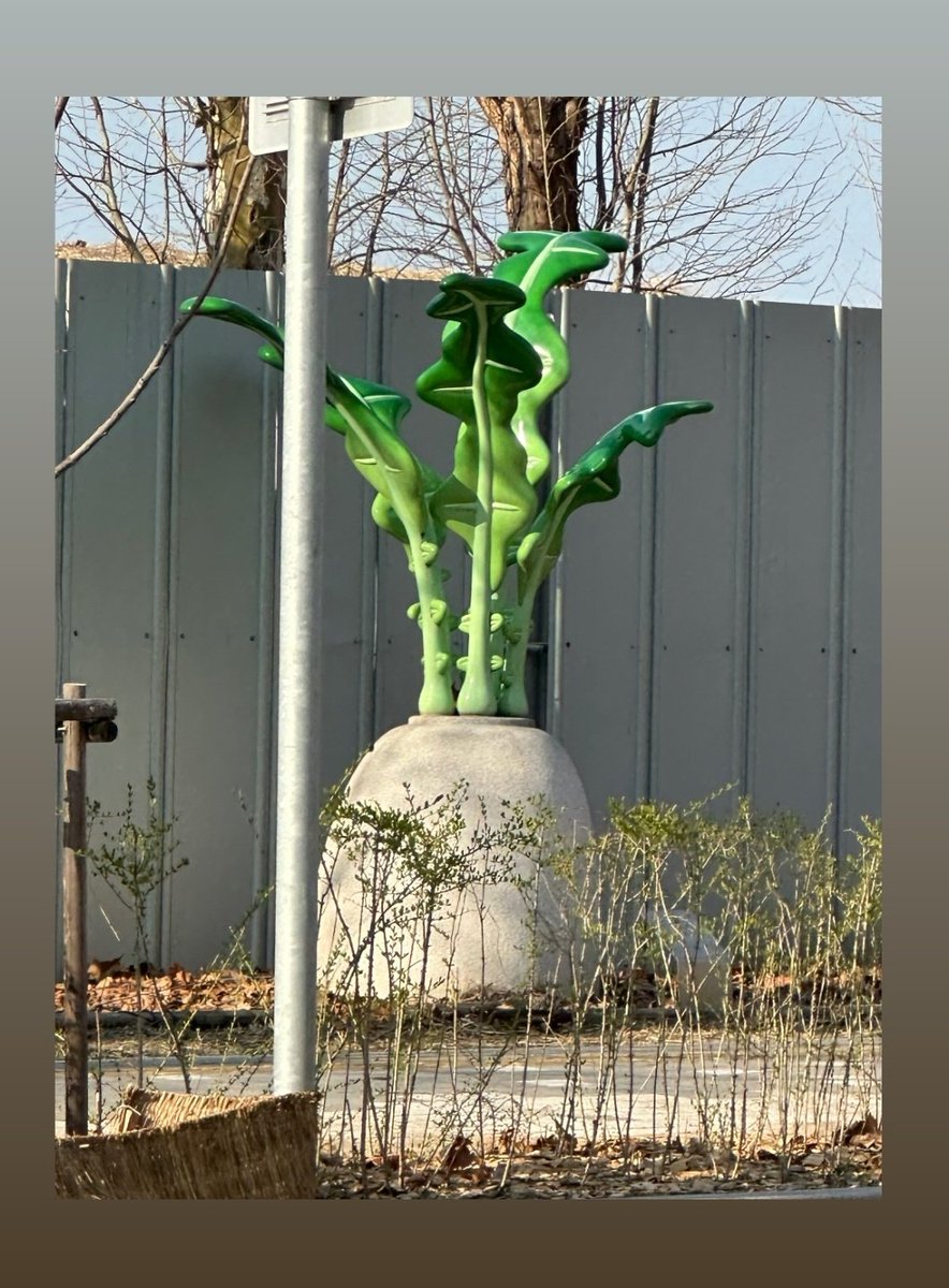 WHEEIN NATION tweet media