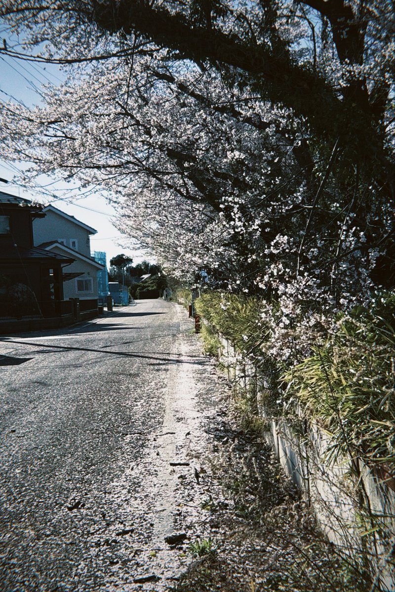 爆火騒ぎ (@stlen0415) on Twitter photo 