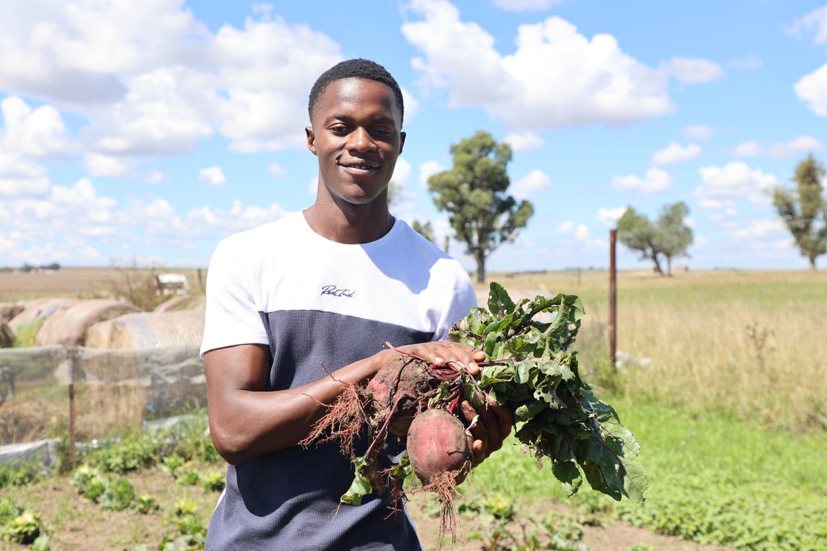 Joburg Market tweet media