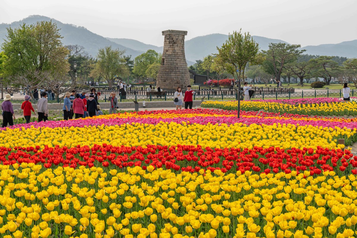 Visita Corea tweet media