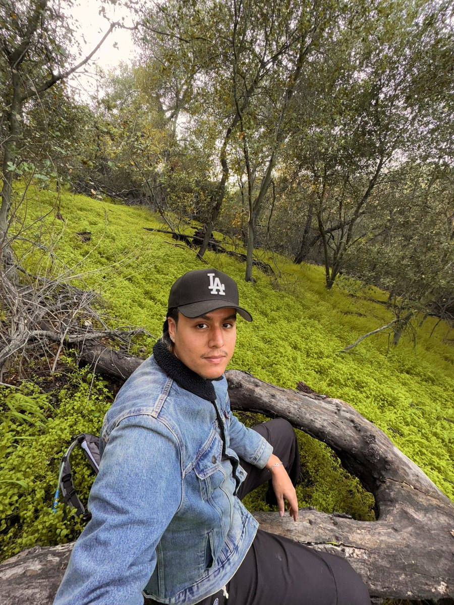 fantasmaspamm's tweet photo. Just chillin 🍃 https://t.co/c6C3p944T6