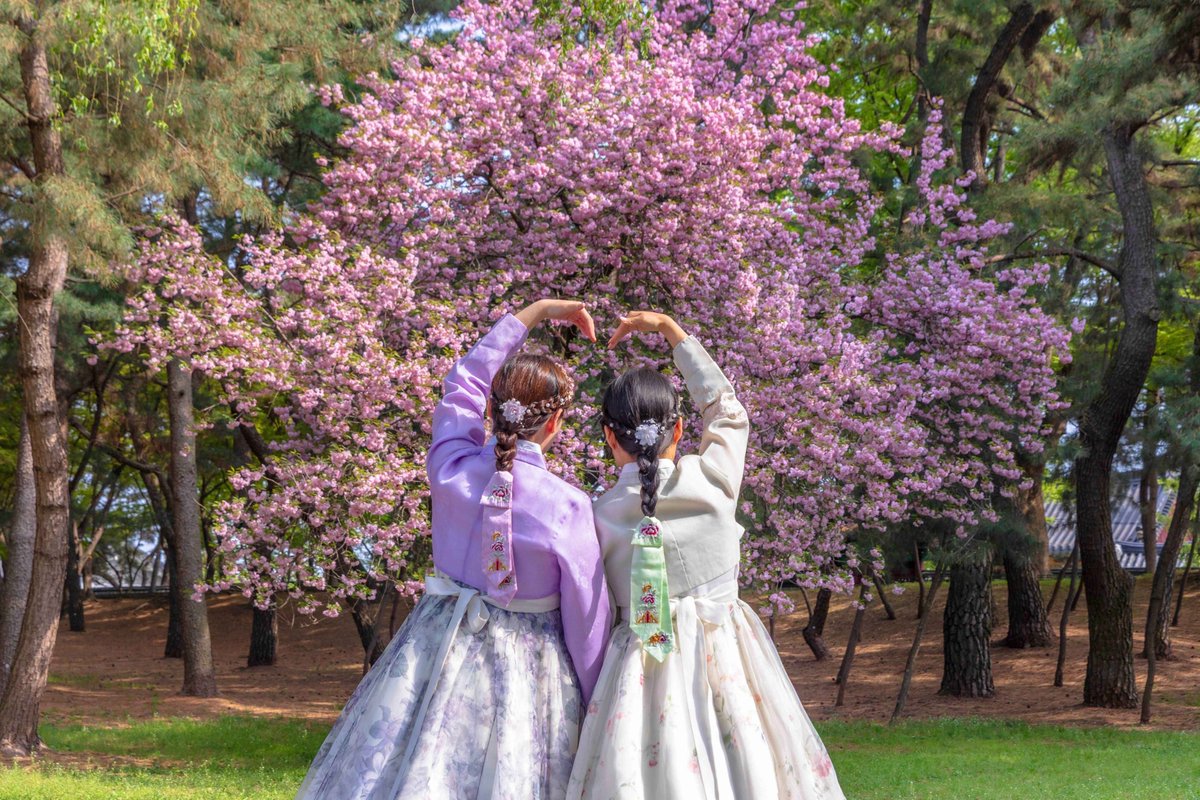 Visita Corea tweet media