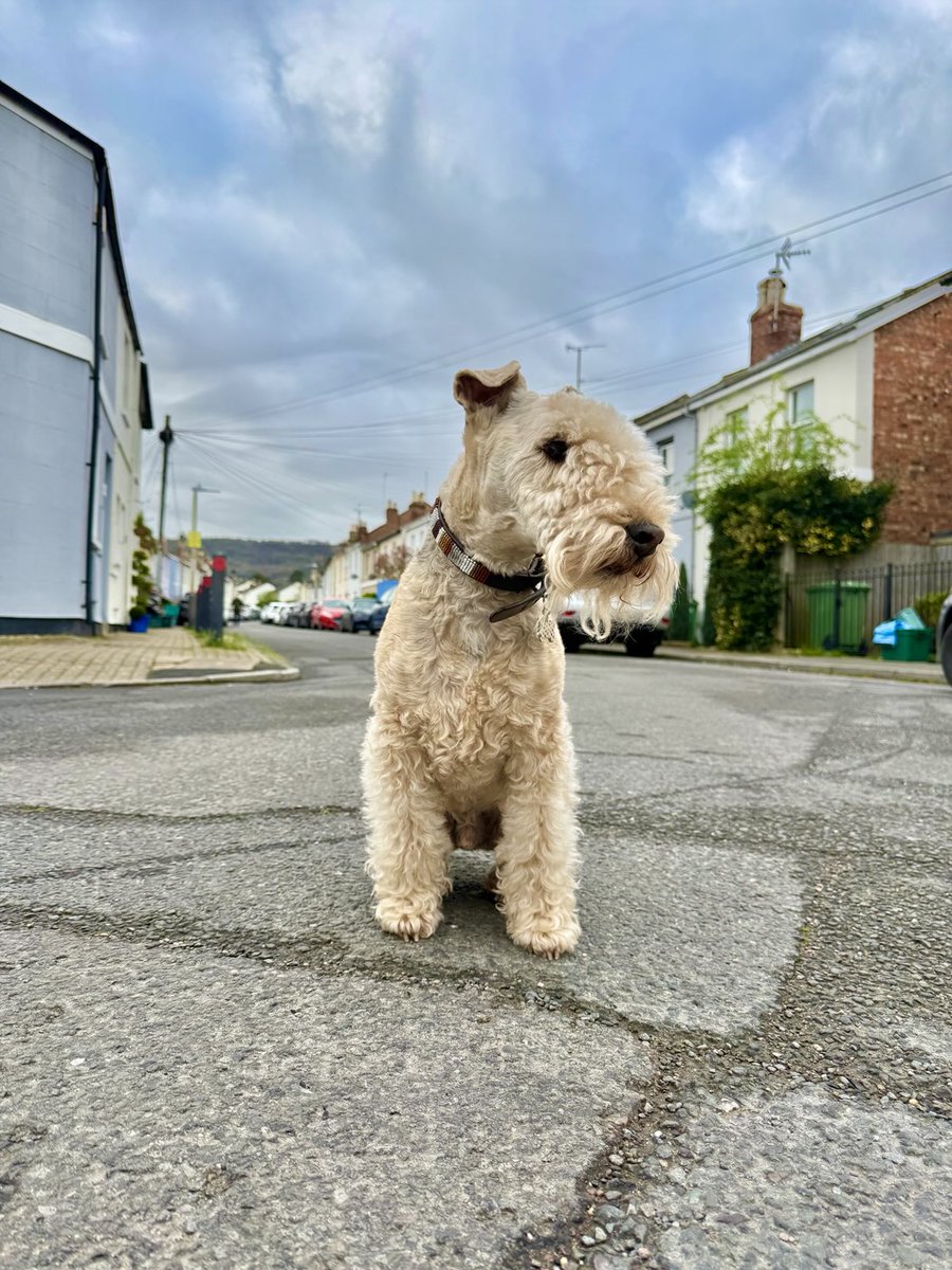 Bertie Lakeland tweet media