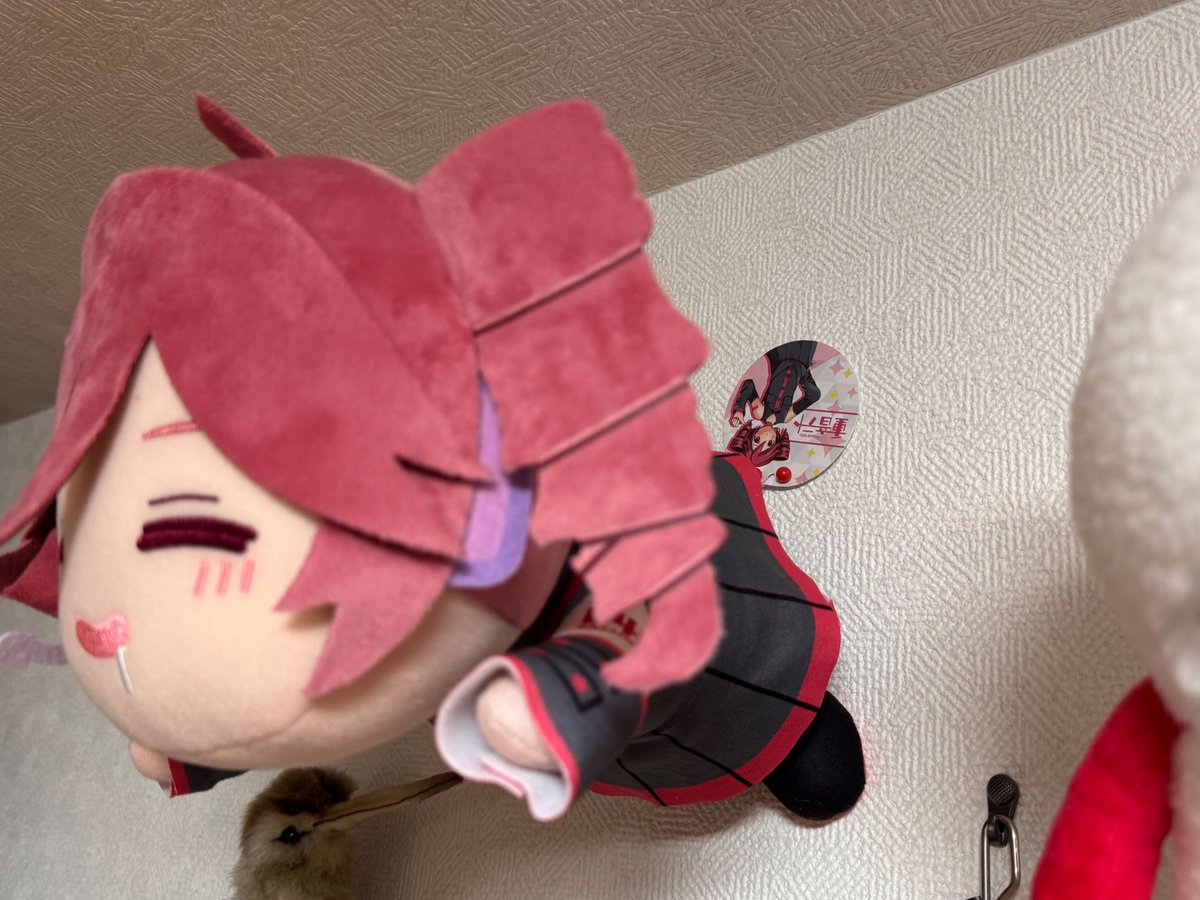 ﾘﾛ氏/LiloSHI tweet media