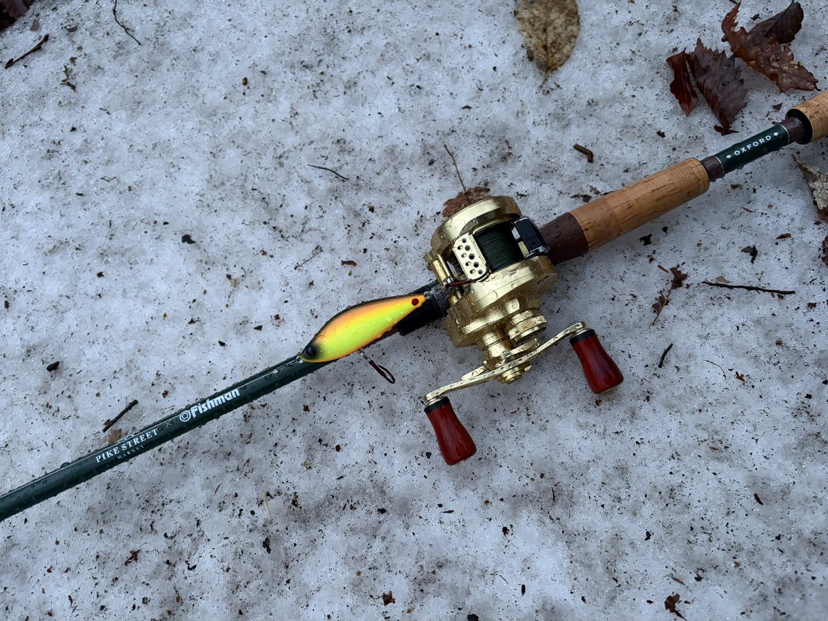 たにやん tweet media