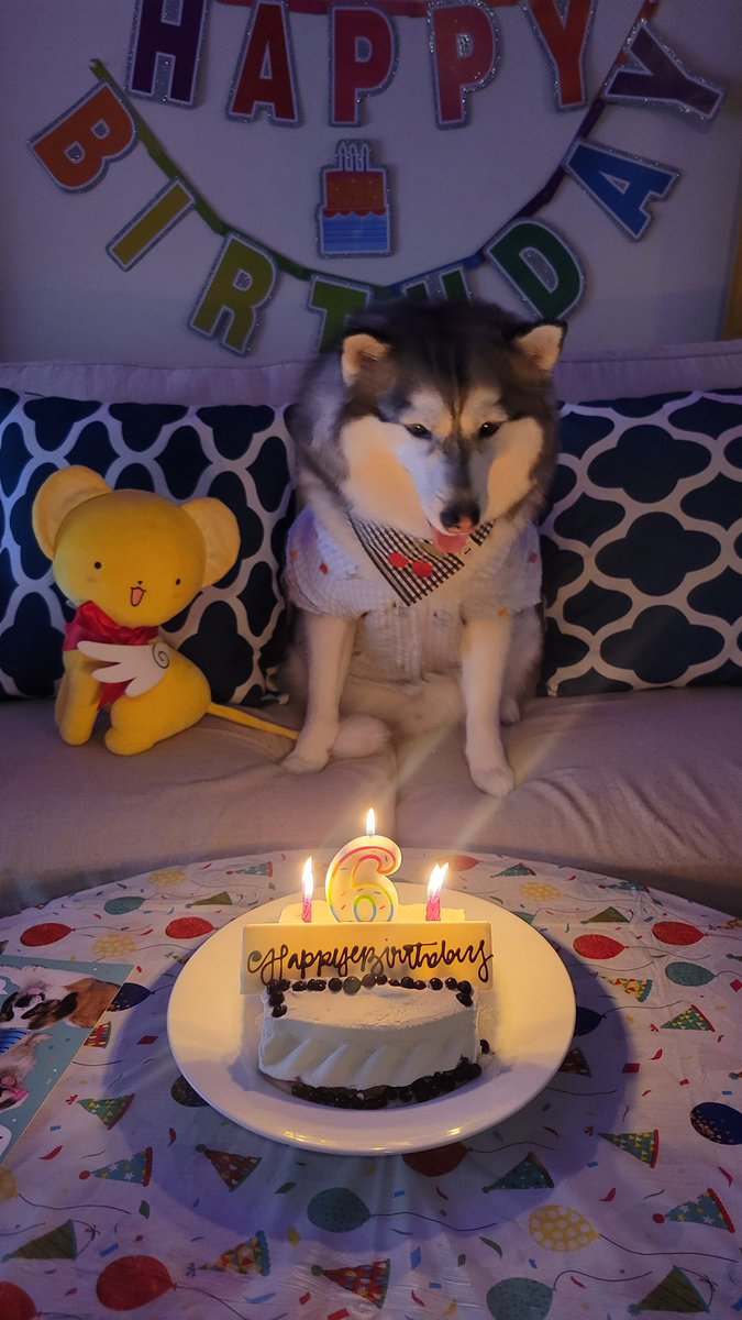 ❄️poopoo weewee❄️ tweet media