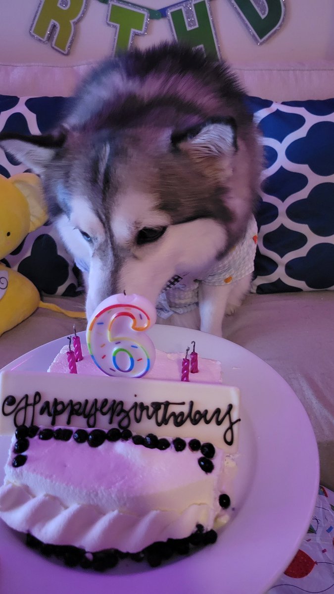 ❄️poopoo weewee❄️ tweet media