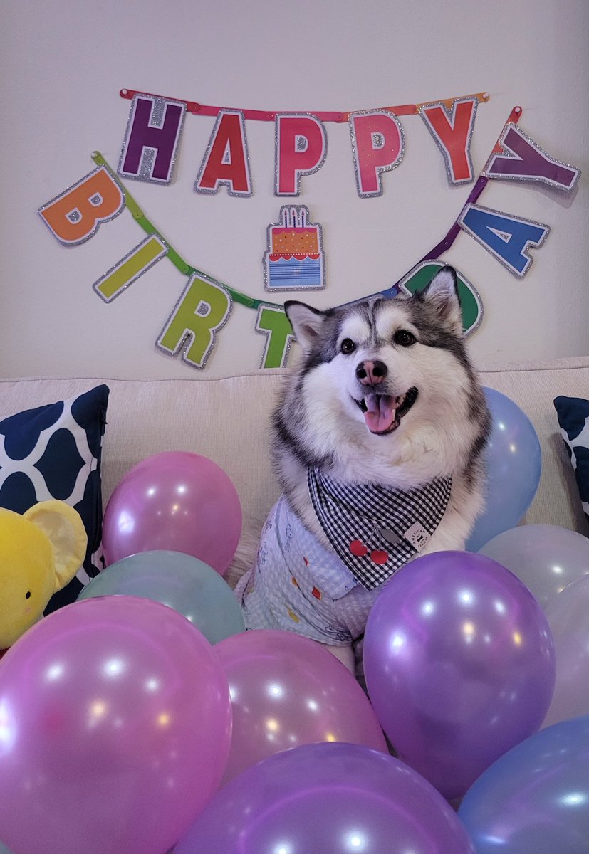 ❄️poopoo weewee❄️ tweet media