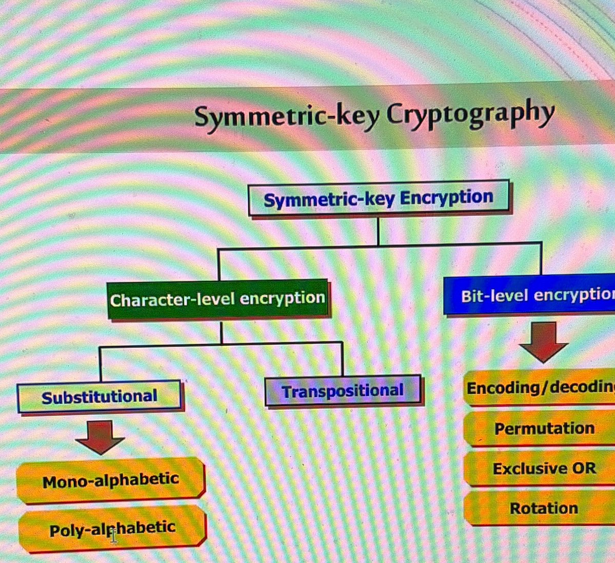 رامي | كربتد tweet media