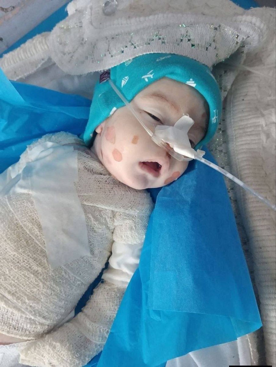 TIMES OF GAZA tweet media