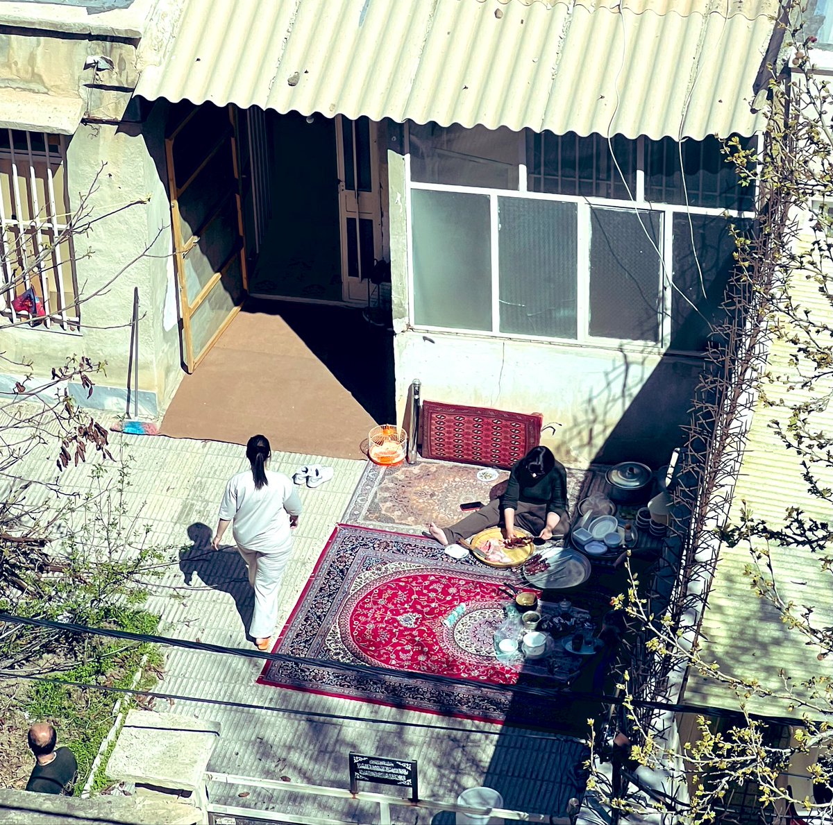 محمدجواد غیبی tweet media