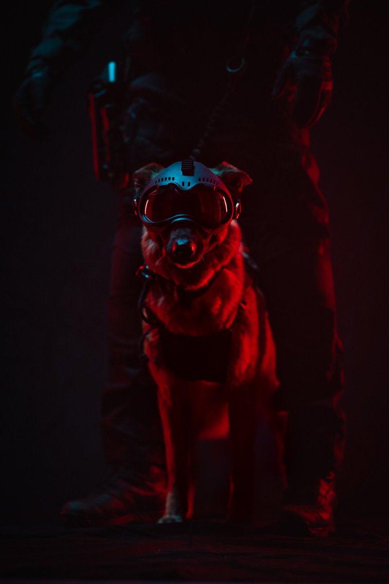 Au RAID, la phrase « le chien est le meilleur ami de l’Homme » prend tout son sens. 🐕