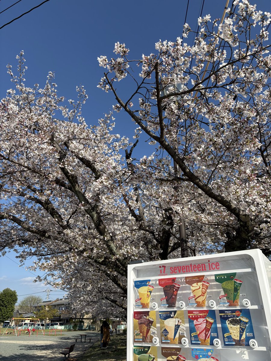REMON23051912's tweet photo. アル中カラカラに最適すぎる https://t.co/DafS8vr28I