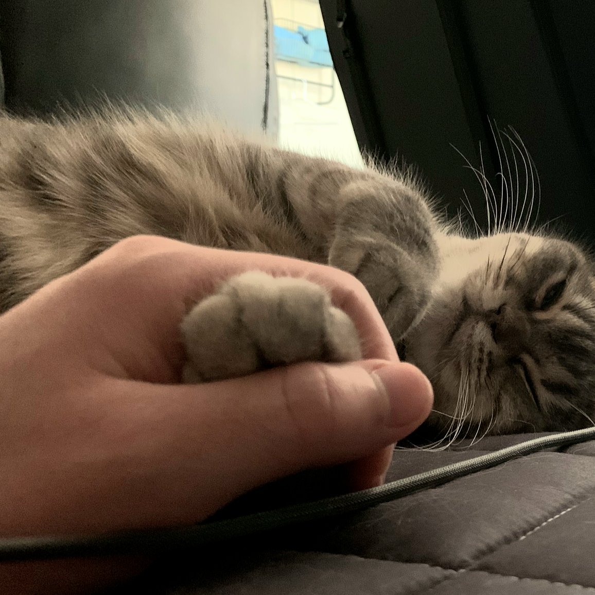 플라🐱 tweet media