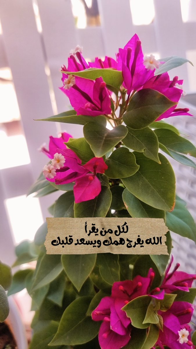 Turkiah_H_Gh's tweet photo. #الخميس_السعيد
#فجر_اليوم
#عامل_مزارع
#اليوم_العالمي
#الخميس_الونيس 
#صباح_الخير_والسعادة 
#صباح_الأشياء_المُشرقة 
تفاؤل ابتسم انظر إلى  السماء  ابتعد عن ضجيج الحياة استمع للقرآن إقرأ لو صفحة أو بعض آيات أو حديث أو أطعم قطا 🐈 أو إجلس على العشب استشعر النعم فيك وحولك الحمد لله. https://t.co/SCQu9u1O1G