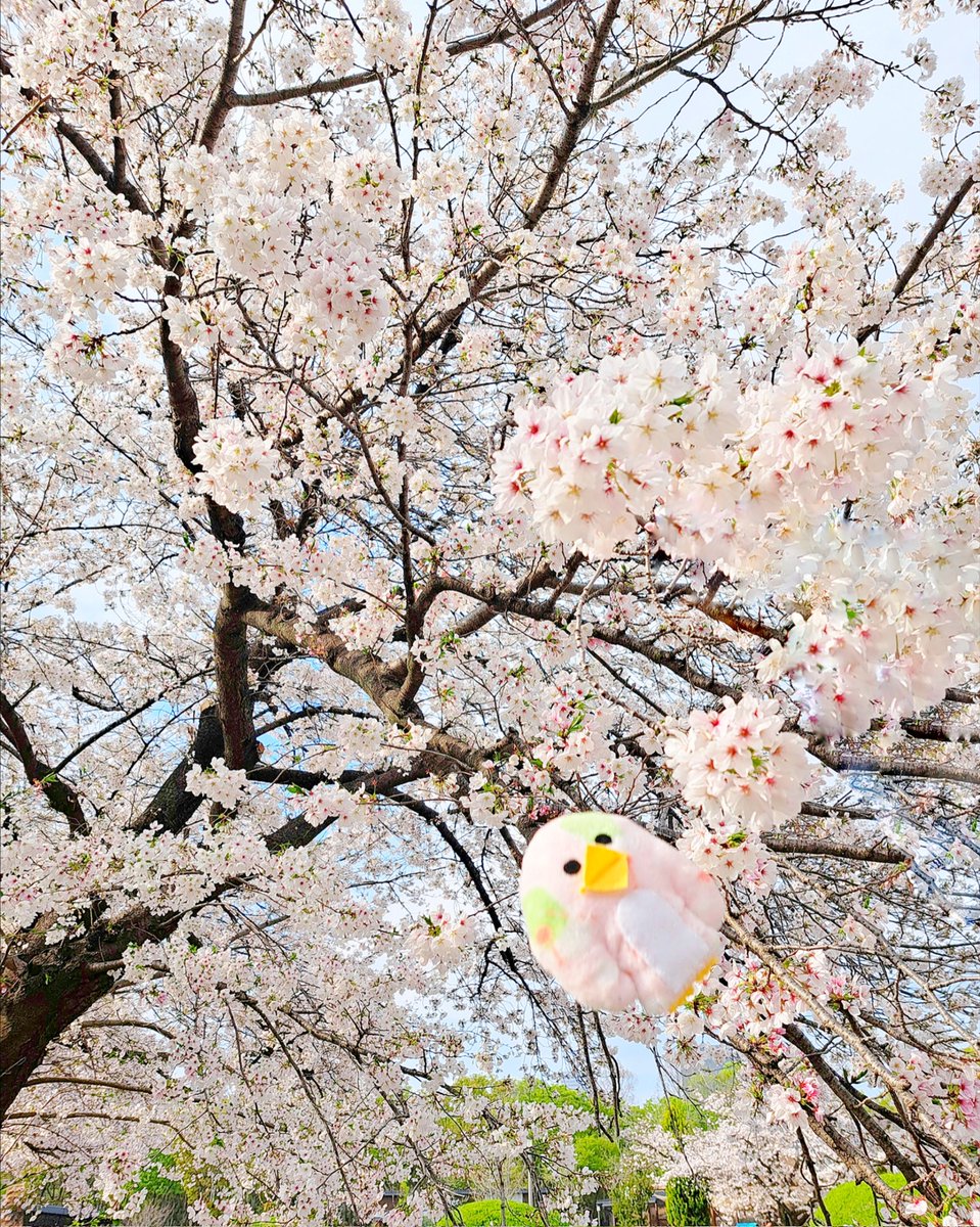 hakomittsu's tweet photo. おひらきしました！
アクティブな方々ありがとうございましたー！笑 https://t.co/1jQreHlCK6