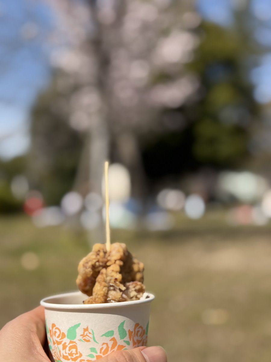 ごらんよ唐揚げ…