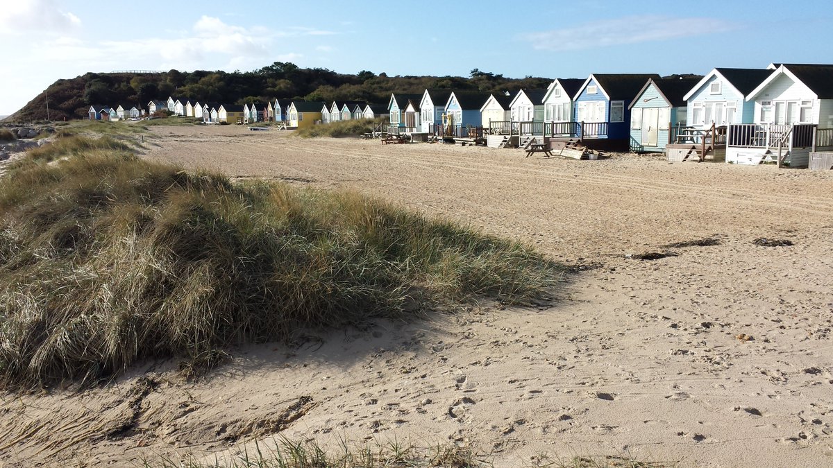 manonabeach tweet media