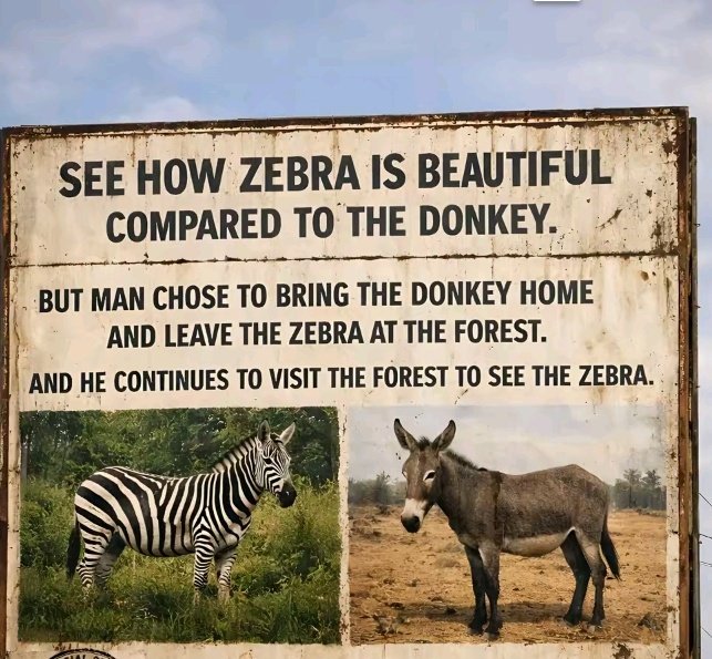 IBRAHIMKAYODE3's tweet photo. This is deep!! 🤔 is this actually about zebra and donkey?? https://t.co/IYkLG2hDya