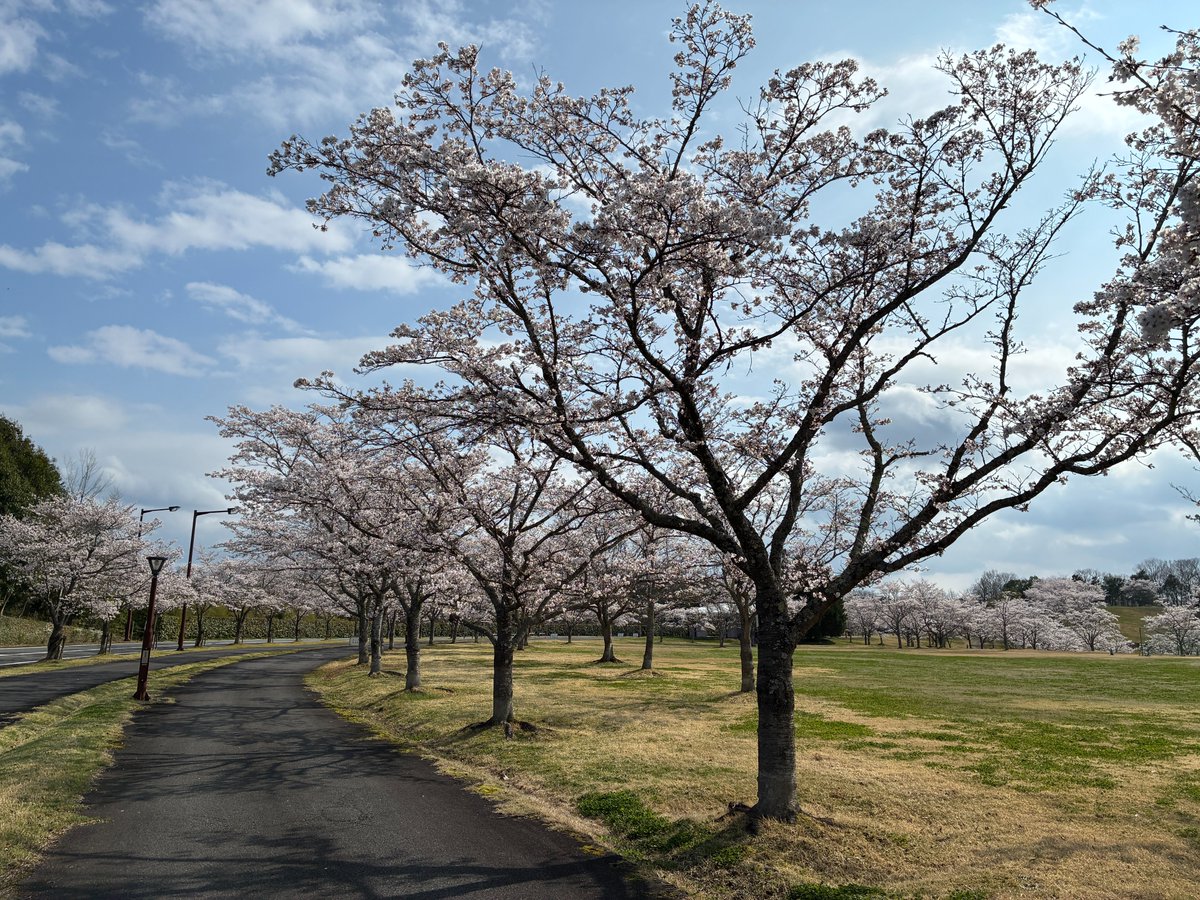 国営備北丘陵公園【公式】 tweet media