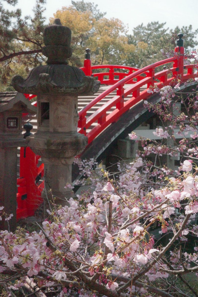 ベラ🍓 tweet media